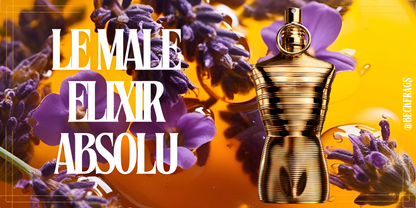 Le Male Elixir Absolu
